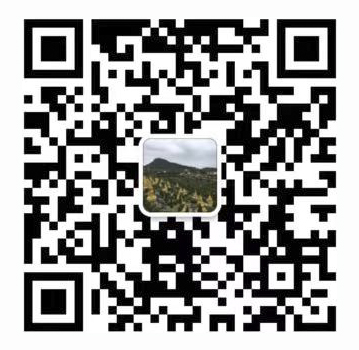 Contac WeChat